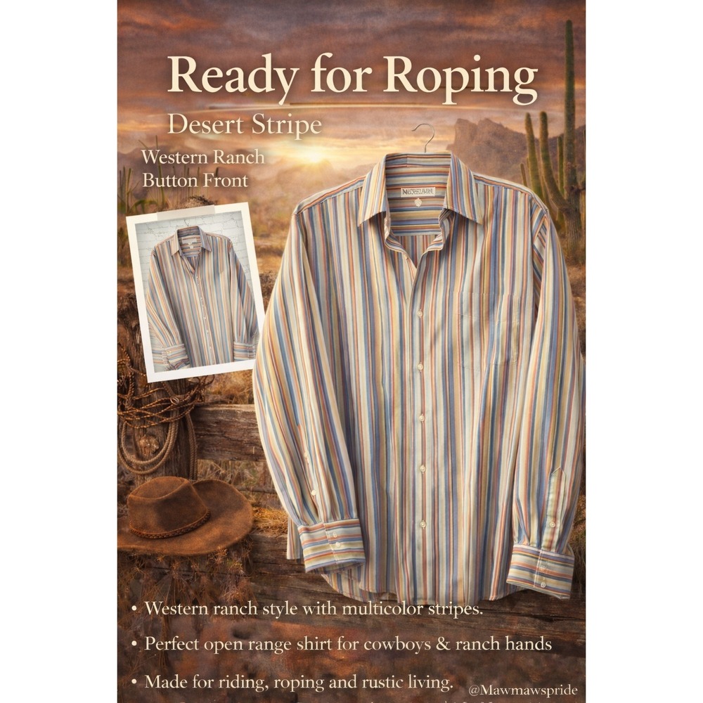 Linea Dome Chemise Mens XL‎ Desert Stripe Western Ranch Button Front Shirt Blue